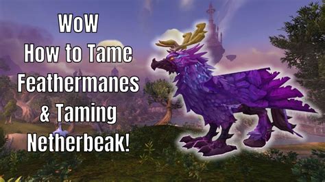 wow tame feathermanes